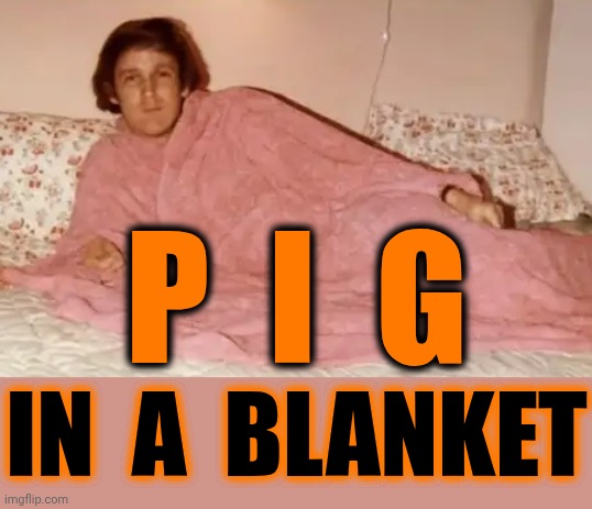 Traitor In A Blanket. Terrorist In A Blanket. Liar In A Blanket. Adulterer In A Blanket. Convicted Felon N A Blanket. Lock It Up | P  I  G; IN  A  BLANKET | image tagged in memes,pig,traitor,terrorist,lock him up,special kind of stupid | made w/ Imgflip meme maker