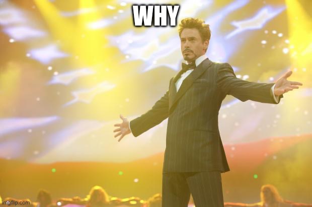Tony Stark success | WHY | image tagged in tony stark success | made w/ Imgflip meme maker