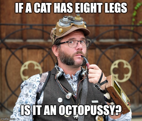 Posh Steampunk recounts a thought | IF A CAT HAS EIGHT LEGS; IS IT AN OCTOPUSSY? | image tagged in deep thoughts,shower thoughts | made w/ Imgflip meme maker