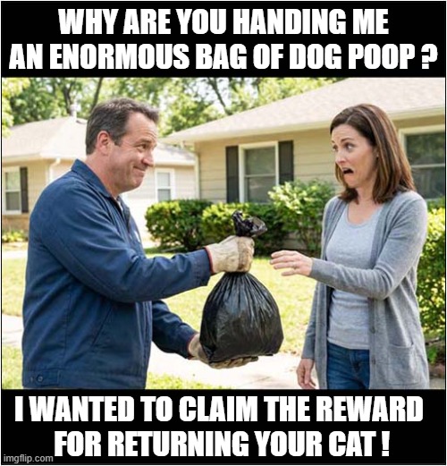 Missing Moggy Mystery Solved ! | WHY ARE YOU HANDING ME AN ENORMOUS BAG OF DOG POOP ? I WANTED TO CLAIM THE REWARD
 FOR RETURNING YOUR CAT ! | image tagged in missing,cat,mystery,solved | made w/ Imgflip meme maker