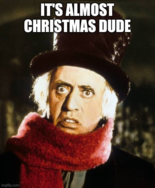 Wtf Scrooge | IT'S ALMOST CHRISTMAS DUDE | image tagged in wtf scrooge | made w/ Imgflip meme maker