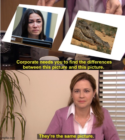 They're The Same Picture Meme | image tagged in memes,they're the same picture | made w/ Imgflip meme maker