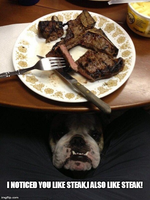 Bulldog looking for, not love, steak! | I NOTICED YOU LIKE STEAK,I ALSO LIKE STEAK! | image tagged in funny,dog | made w/ Imgflip meme maker