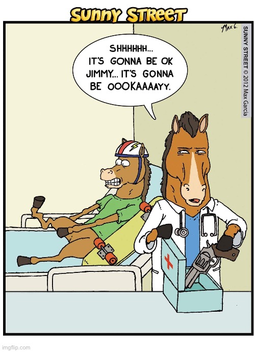 image tagged in comics,sunny street,horses,doctor,broken leg | made w/ Imgflip meme maker
