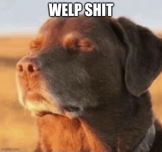 Chill Dog | WELP SHIT | image tagged in chill dog | made w/ Imgflip meme maker