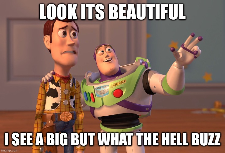 X, X Everywhere | LOOK ITS BEAUTIFUL; I SEE A BIG BUT WHAT THE HELL BUZZ | image tagged in memes,x x everywhere | made w/ Imgflip meme maker