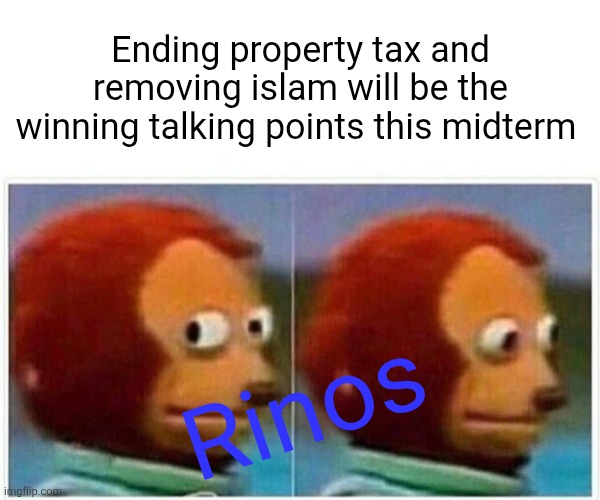 Monkey Puppet | Ending property tax and removing islam will be the winning talking points this midterm; Rinos | image tagged in memes,monkey puppet,funny memes | made w/ Imgflip meme maker