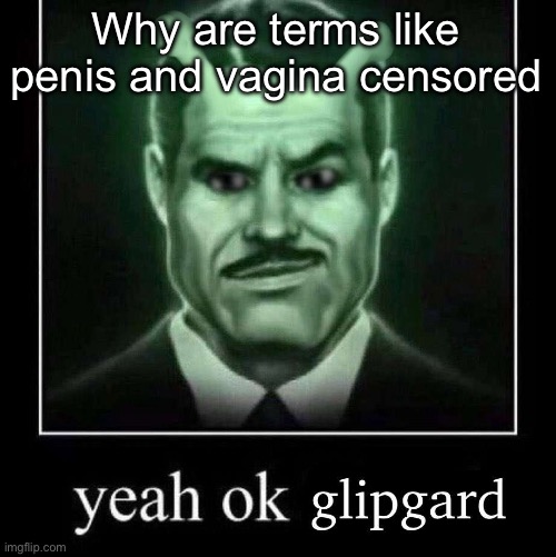“wE dO iT fOr ThE SaFeTy oF KiDs” what dipshitted child is gonna go around a 13+ meme site | Why are terms like penis and vagina censored | image tagged in yeah ok glipgard | made w/ Imgflip meme maker