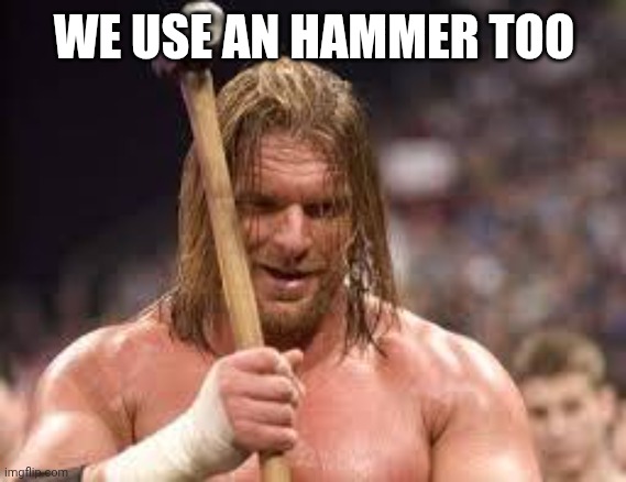 triple h sledgehammer | WE USE AN HAMMER TOO | image tagged in triple h sledgehammer | made w/ Imgflip meme maker