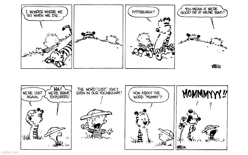 image tagged in calvin and hobbes,comics | made w/ Imgflip meme maker