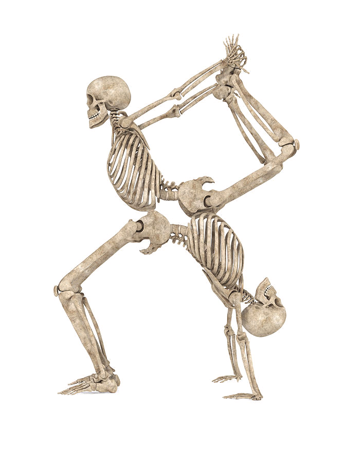 Skeleton Yoga Blank Meme Template