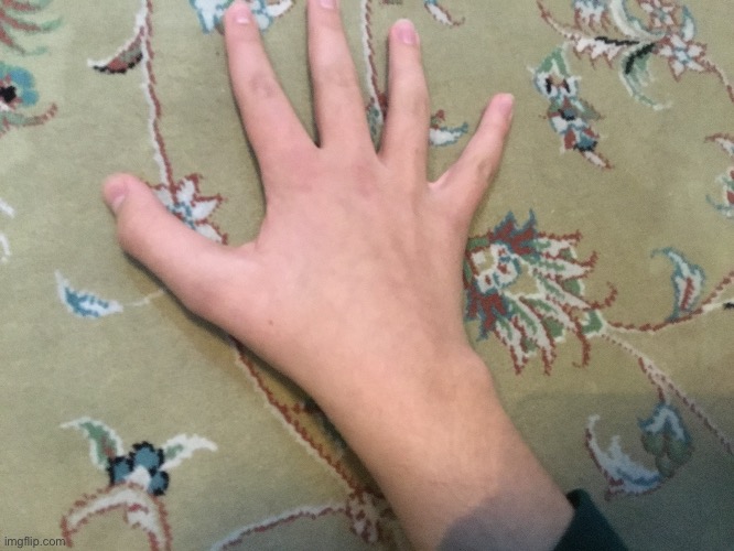 Here’s a photo of my hand as promised | made w/ Imgflip meme maker
