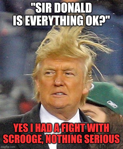Donald Trumph hair | "SIR DONALD IS EVERYTHING OK?"; YES I HAD A FIGHT WITH SCROOGE, NOTHING SERIOUS | image tagged in donald trumph hair | made w/ Imgflip meme maker