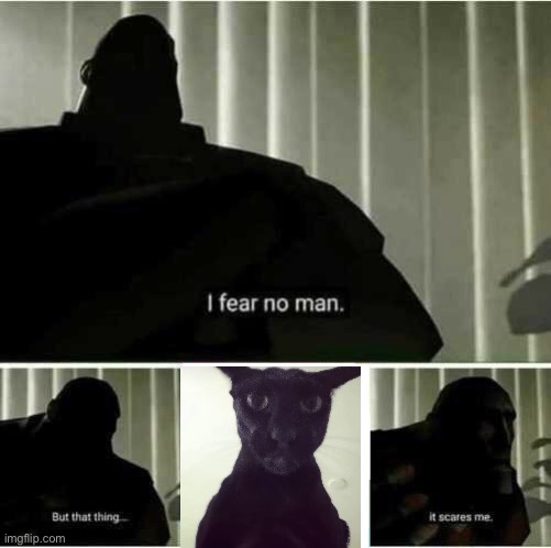 I fear no man. But that thing..it scares me | image tagged in i fear no man but that thing it scares me | made w/ Imgflip meme maker