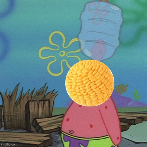 Patrick head stuck in bottle dumb | image tagged in patrick head stuck in bottle dumb | made w/ Imgflip meme maker