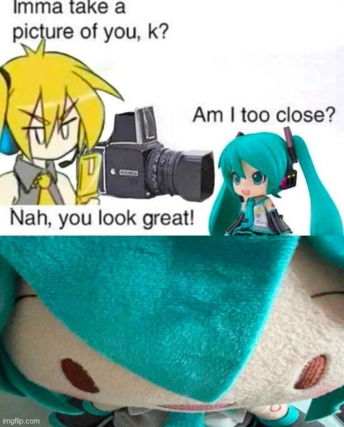 meme | image tagged in hatsune miku,akita neru,stop reading the tags | made w/ Imgflip meme maker