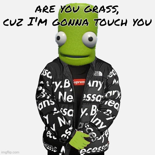 is this w rizz? | are you grass, cuz I'm gonna touch you | image tagged in epilektoi drip | made w/ Imgflip meme maker
