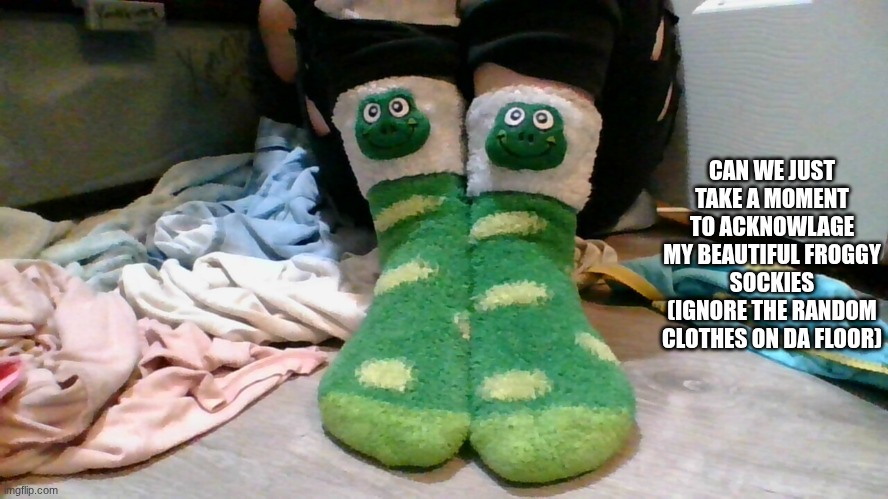 CAN WE JUST TAKE A MOMENT TO ACKNOWLAGE MY BEAUTIFUL FROGGY SOCKIES (IGNORE THE RANDOM CLOTHES ON DA FLOOR) | made w/ Imgflip meme maker