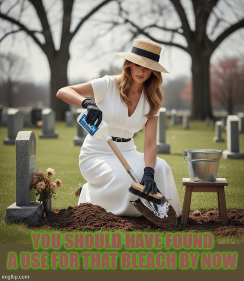 YOU SHOULD HAVE FOUND A USE FOR THAT BLEACH BY NOW | YOU SHOULD HAVE FOUND A USE FOR THAT BLEACH BY NOW | image tagged in you should have found a use for that bleach by now,bleach,trump,clean,grave,the cure | made w/ Imgflip meme maker