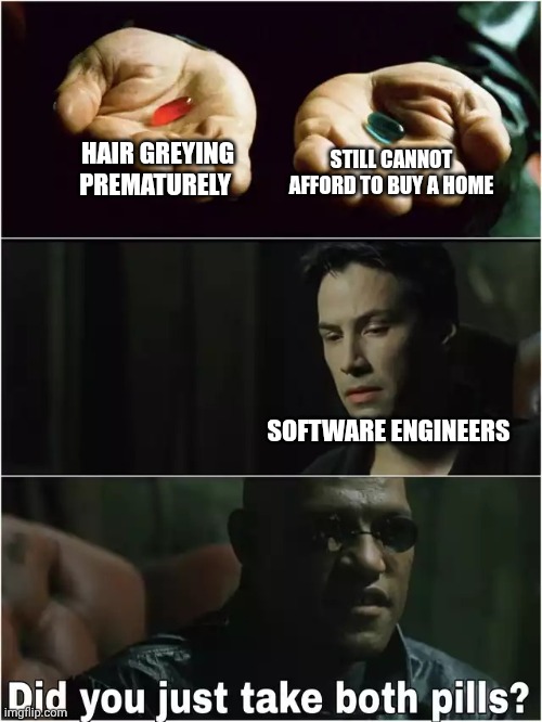 Did you just take both pills? | STILL CANNOT AFFORD TO BUY A HOME; HAIR GREYING PREMATURELY; SOFTWARE ENGINEERS | image tagged in did you just take both pills | made w/ Imgflip meme maker
