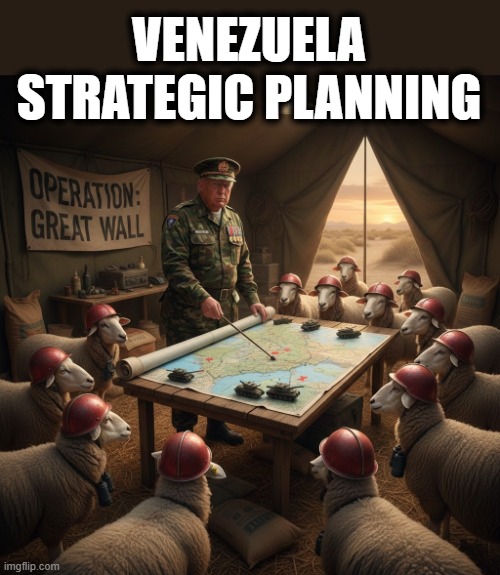 VENEZUELA STRATEGIC PLANNING | VENEZUELA STRATEGIC PLANNING | image tagged in venezuela,strategic planning,trump,maga,sheep,wall | made w/ Imgflip meme maker