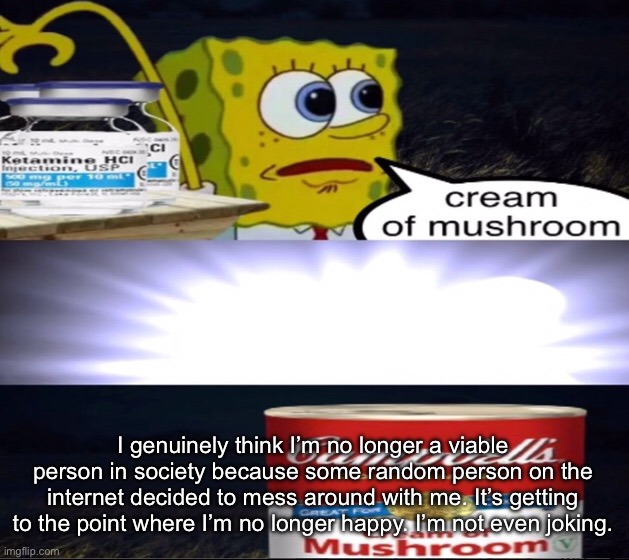 I think I need help. | I genuinely think I’m no longer a viable person in society because some random person on the internet decided to mess around with me. It’s getting to the point where I’m no longer happy. I’m not even joking. | image tagged in cream of mushroom | made w/ Imgflip meme maker
