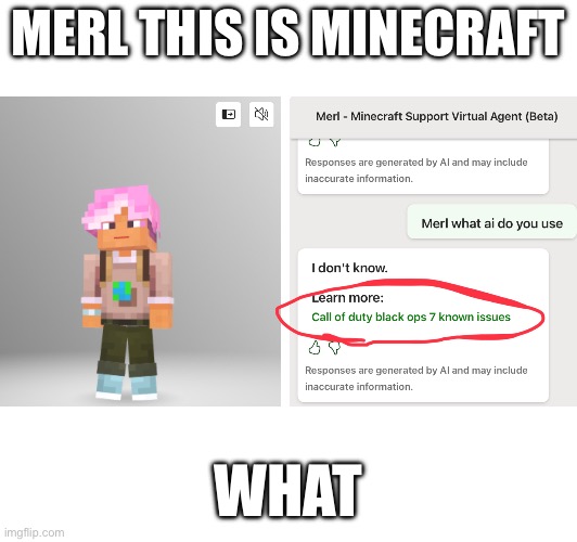 Merl. THIS IS MINECRAFT NOT COD BO7 | MERL THIS IS MINECRAFT; WHAT | image tagged in minecraft,funny,confusing | made w/ Imgflip meme maker