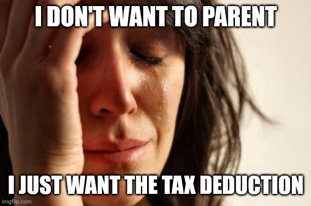 First World Problems Meme | I DON'T WANT TO PARENT I JUST WANT THE TAX DEDUCTION | image tagged in memes,first world problems | made w/ Imgflip meme maker