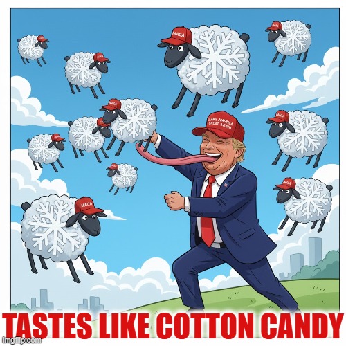 TASTES LIKE COTTON CANDY | TASTES LIKE COTTON CANDY | image tagged in cotton candy,snowflake,trump,maga,sheep,idiot | made w/ Imgflip meme maker