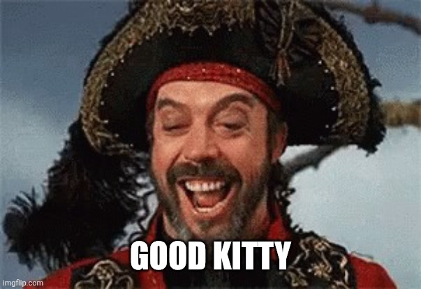 TIM CURRY PIRATE | GOOD KITTY | image tagged in tim curry pirate | made w/ Imgflip meme maker