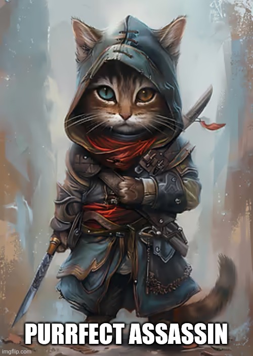 PURRFECT ASSASSIN | made w/ Imgflip meme maker
