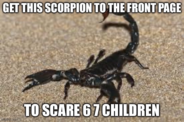 Scorpions | GET THIS SCORPION TO THE FRONT PAGE; TO SCARE 6 7 CHILDREN | image tagged in scorpions | made w/ Imgflip meme maker