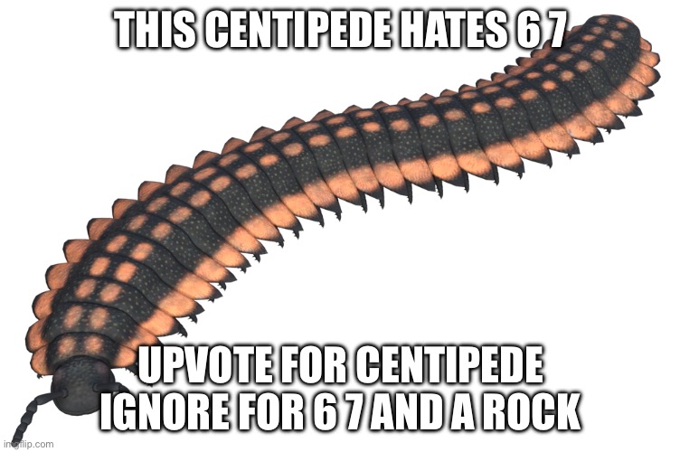 Arthropleura | THIS CENTIPEDE HATES 6 7; UPVOTE FOR CENTIPEDE IGNORE FOR 6 7 AND A ROCK | image tagged in arthropleura | made w/ Imgflip meme maker