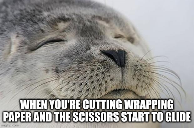 Satisfied Seal | WHEN YOU'RE CUTTING WRAPPING PAPER AND THE SCISSORS START TO GLIDE | image tagged in memes,satisfied seal | made w/ Imgflip meme maker