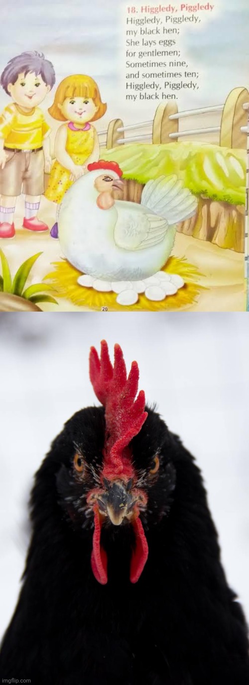 More like white hen | image tagged in angry black hen,hen,colorblind,you had one job,hens,memes | made w/ Imgflip meme maker