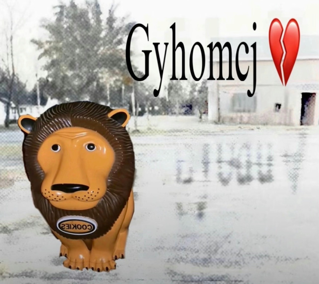 High Quality Gyhomcj Blank Meme Template