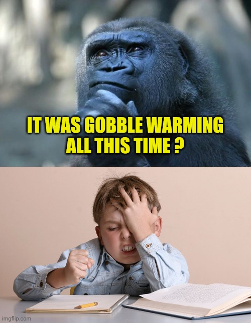 IT WAS GOBBLE WARMING
ALL THIS TIME ? | image tagged in deep thoughts,kid face slap | made w/ Imgflip meme maker