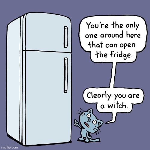 Cattitude | image tagged in cats,cattitude,comics,refrigerator,witch | made w/ Imgflip meme maker