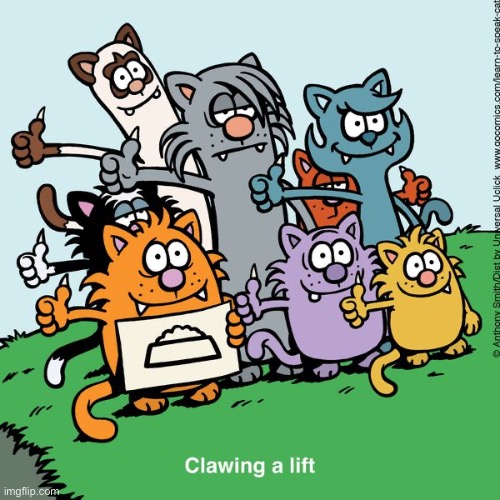 Learn to Speak Cat | image tagged in cats,comics,learn to speak cat,hitchhike,claw a ride | made w/ Imgflip meme maker