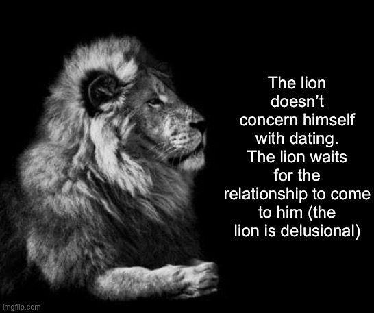 the lion.. | The lion doesn’t concern himself with dating. The lion waits for the relationship to come to him (the lion is delusional) | image tagged in the lion | made w/ Imgflip meme maker