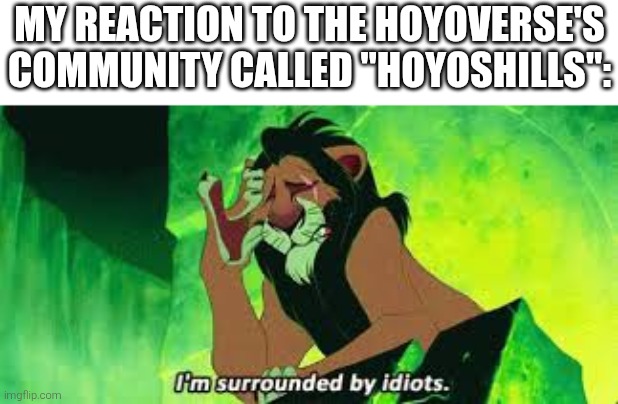 i'm surrounded by idiots | MY REACTION TO THE HOYOVERSE'S COMMUNITY CALLED "HOYOSHILLS": | image tagged in i'm surrounded by idiots | made w/ Imgflip meme maker