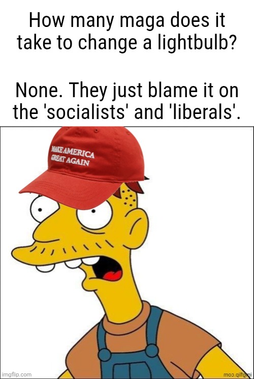 Some Kind Of MAGA Moron | How many maga does it take to change a lightbulb? None. They just blame it on the 'socialists' and 'liberals'. | image tagged in some kind of maga moron | made w/ Imgflip meme maker