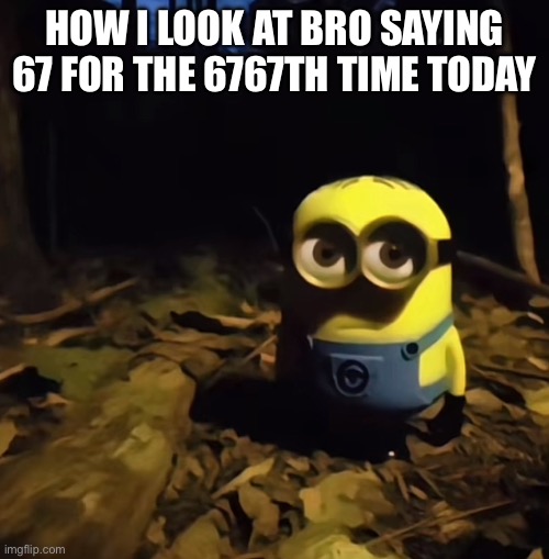 Minion in dark forest | HOW I LOOK AT BRO SAYING 67 FOR THE 6767TH TIME TODAY | image tagged in minion in dark forest,67 | made w/ Imgflip meme maker