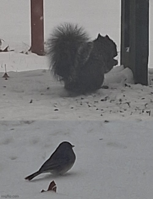 Look at these stupid little idiots | made w/ Imgflip meme maker