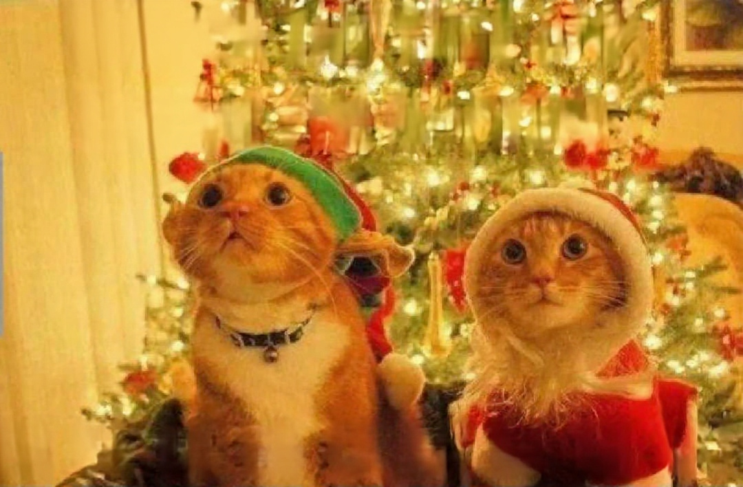 Chrisjoines1 Blank Meme Template