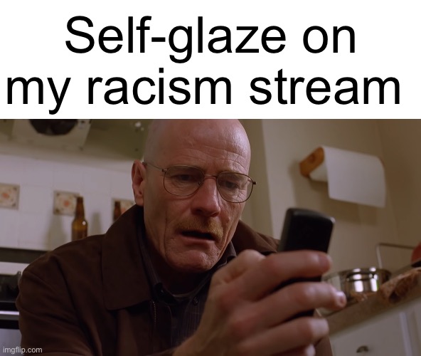 Walter White on his Phone | Self-glaze on my racism stream | image tagged in walter white on his phone | made w/ Imgflip meme maker