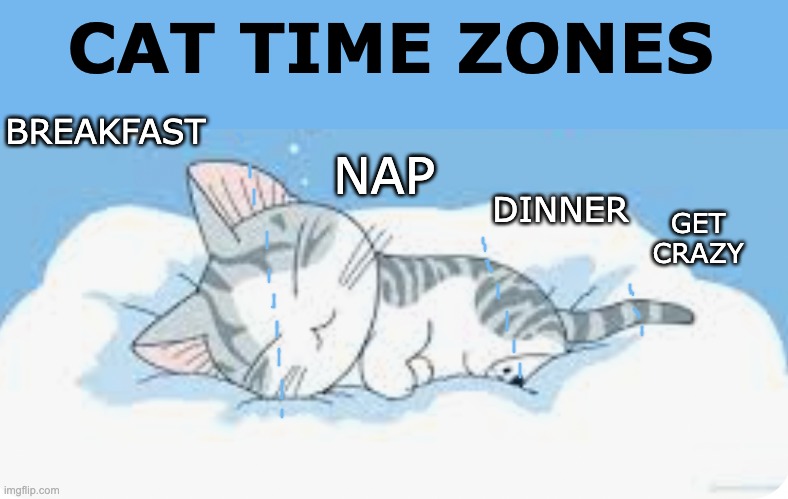 Your time is meaningless. Only cat time counts. | CAT TIME ZONES; BREAKFAST; NAP; DINNER; GET
CRAZY | image tagged in cats,time,philosophy | made w/ Imgflip meme maker