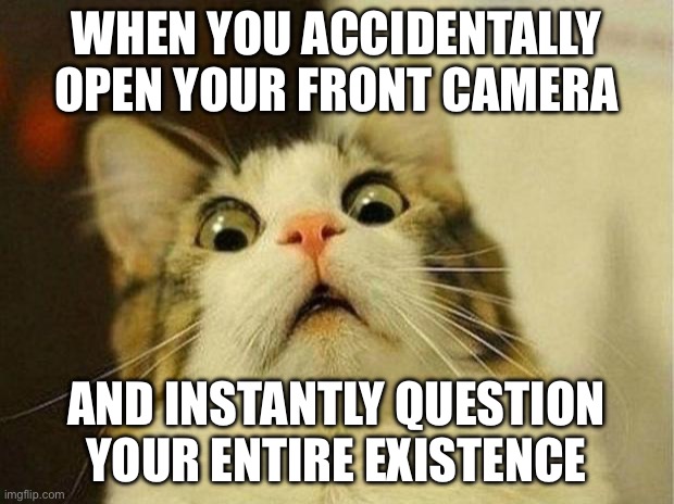 WHEN YOU ACCIDENTALLY OPEN YOUR FRONT CAMERA | WHEN YOU ACCIDENTALLY OPEN YOUR FRONT CAMERA; AND INSTANTLY QUESTION YOUR ENTIRE EXISTENCE | image tagged in memes,scared cat,camera,mobile,cell phone,existentialism | made w/ Imgflip meme maker