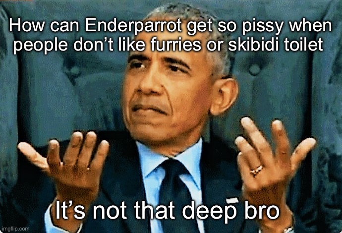 Obama so what! | How can Enderparrot get so pissy when people don’t like furries or skibidi toilet; It’s not that deep bro | image tagged in obama so what | made w/ Imgflip meme maker