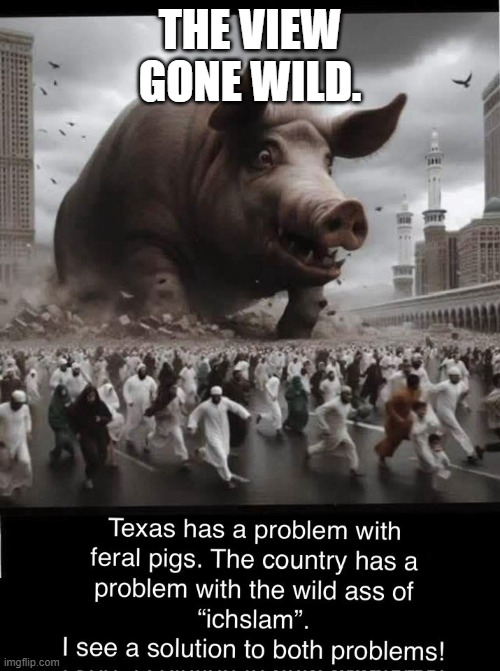 The View Gone Wild. | THE VIEW GONE WILD. | image tagged in the view gone wild | made w/ Imgflip meme maker